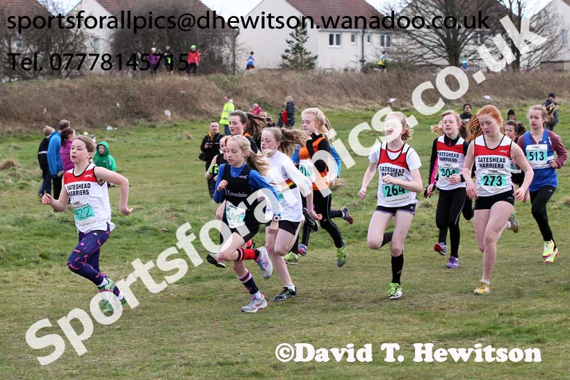 Under-13 girls NEHL Wrekenton, Gateshead. 2014 NEH, Wrekenton. Photo: David T. Hewitson/Sports for All Pics